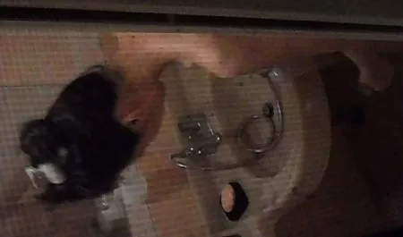 Lexie Dona weckt morgens geile scharfe hausfrauen einen Jungen