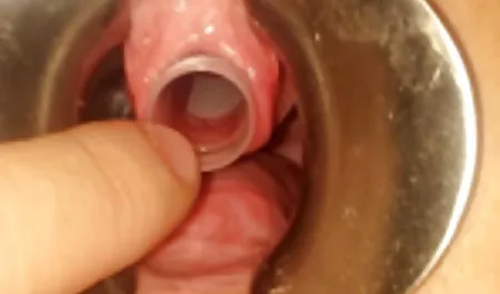 Schlampe befriedigt den nächsten Kunden mit einem Klick kontakte zu hausfrauen