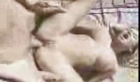 Inspektion einer sexy bbw hausfrauen Schönheit