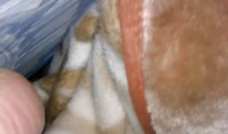 Abendlangeweile mollige geile hausfrauen durch Masturbation gebannt